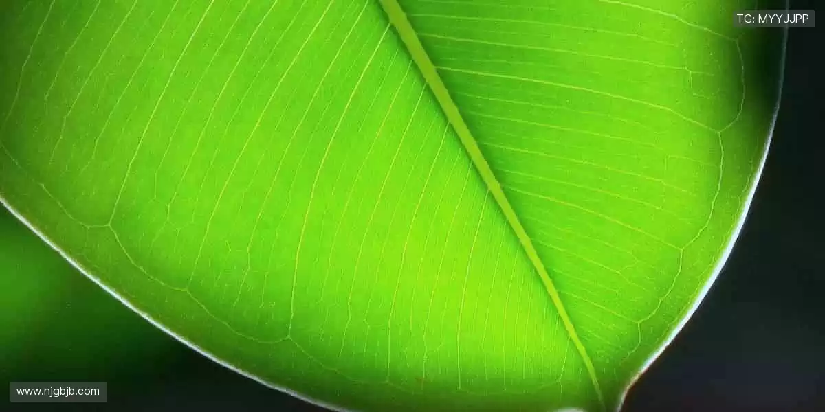 💥潮流装备，让运动与时尚完美碰撞！